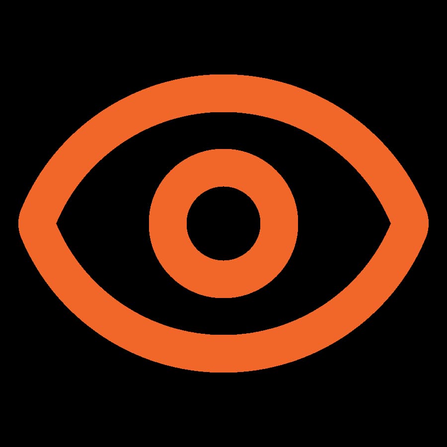 Vision
